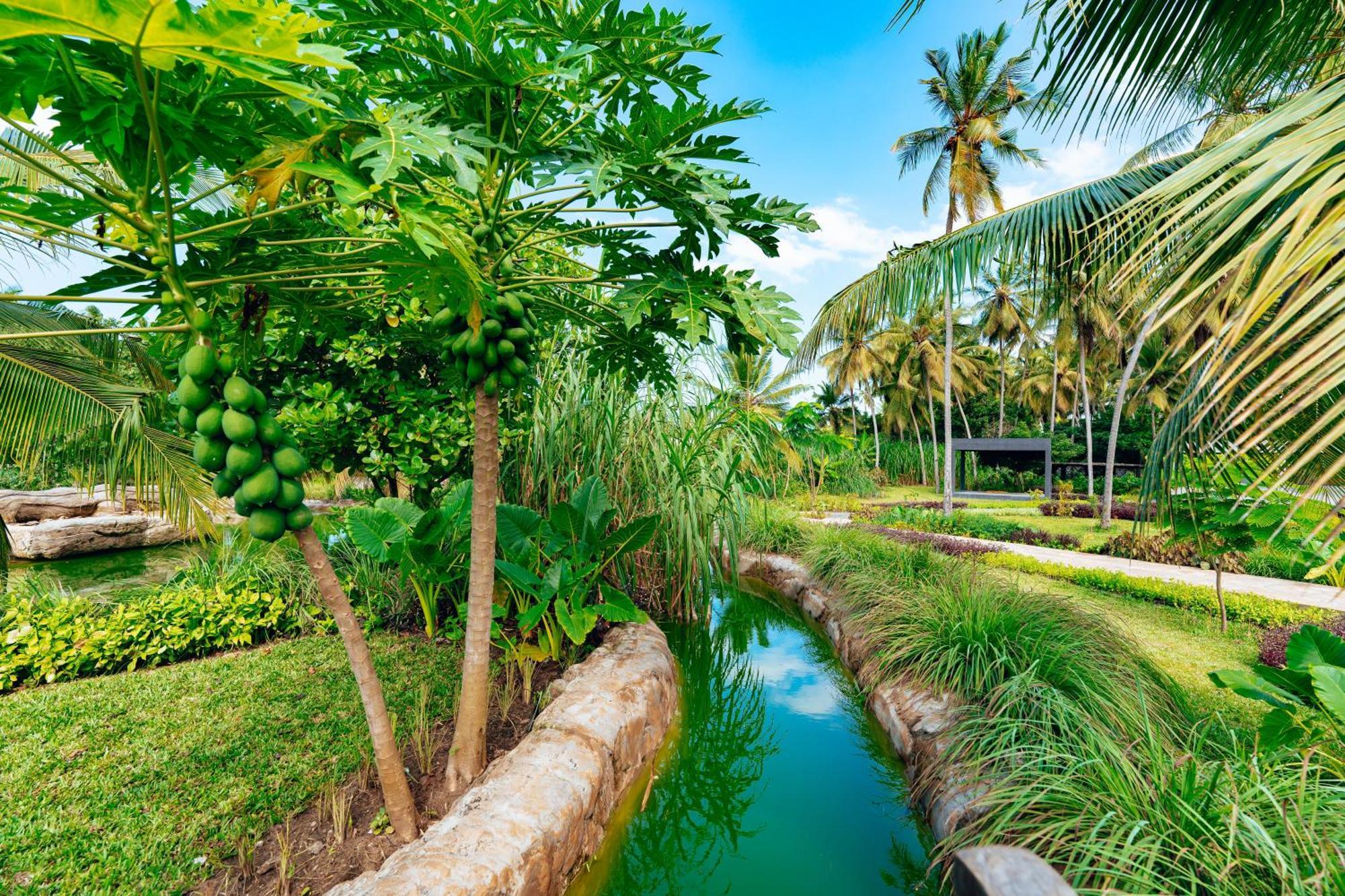 Ycona Luxury Resort Uroa Buitenkant foto